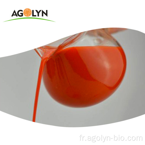 Boire de jus de jus de baies de goji originale Ningxia pur